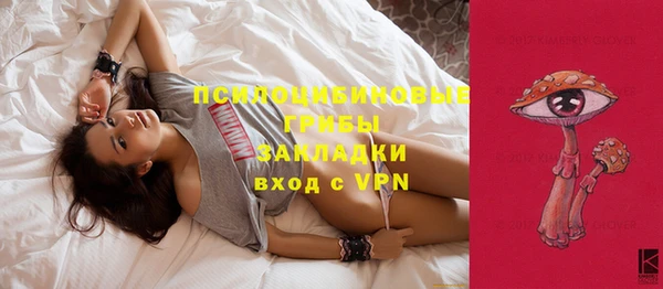 кокс Каменногорск