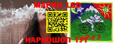 МДПВ Волжск