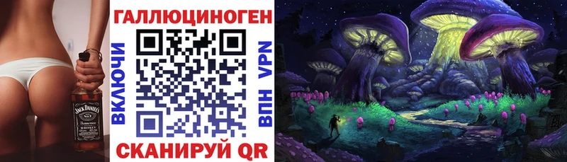 Псилоцибиновые грибы мицелий  ОМГ ОМГ   Камышлов 