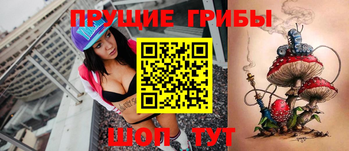 цены наркотик  Галлюциногенные грибы MAGIC MUSHROOMS  Псилоцибиновые грибы Psilocybe  Вход с VPN  Камышлов 