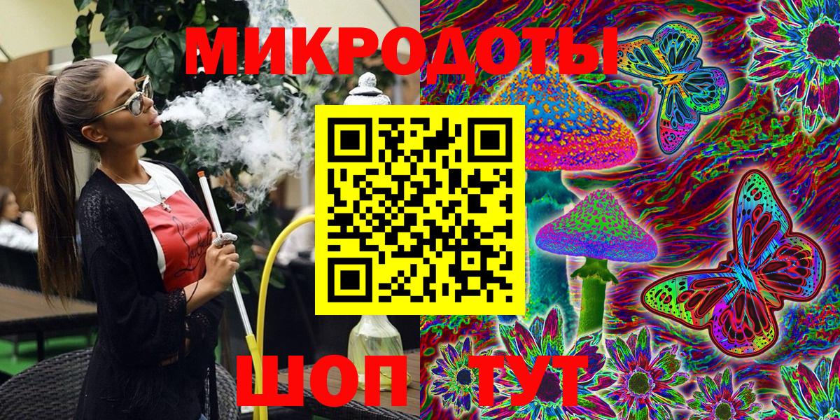 Галлюциногенные грибы Psilocybine cubensis Камышлов